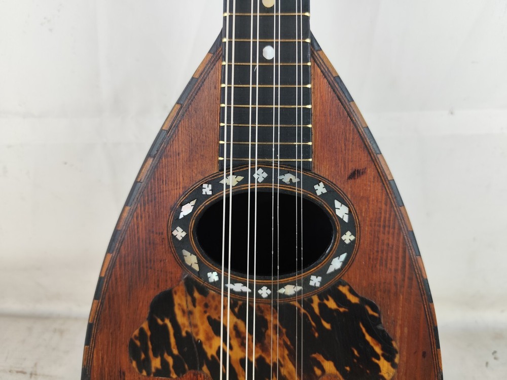Mandolin 4/4 Viscardo Maccolini 1920 Milan 曼陀林 만돌린マンドリン