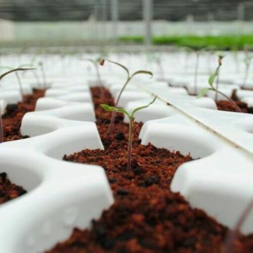 COCO PEAT COCONUT COIR 100% NATURAL ORGANIC COMPOST HYDROPONIC GROWING MEDIA