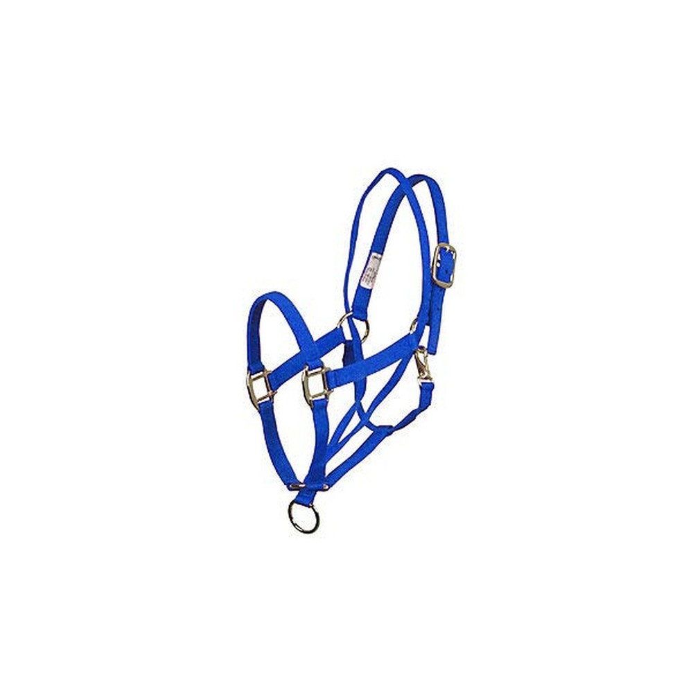 Basic Pull Back Training Halter Blue