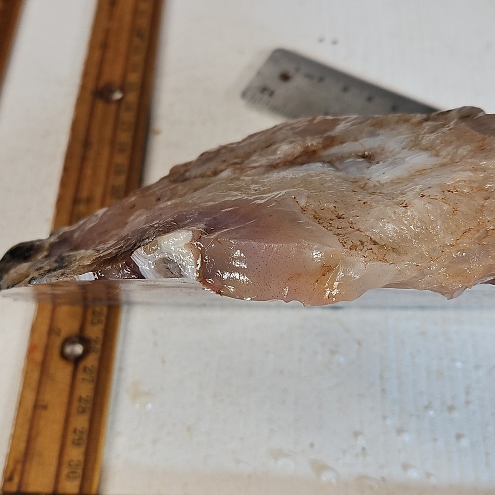 Moroccan Agate , beautiful color and pattern. 2LBS 7.6OZ.