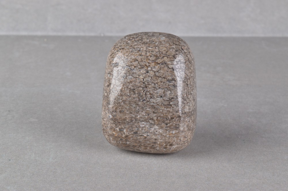 Fossilized Dinosaur Bone Polished from Morocco 4.0 cm # 19757