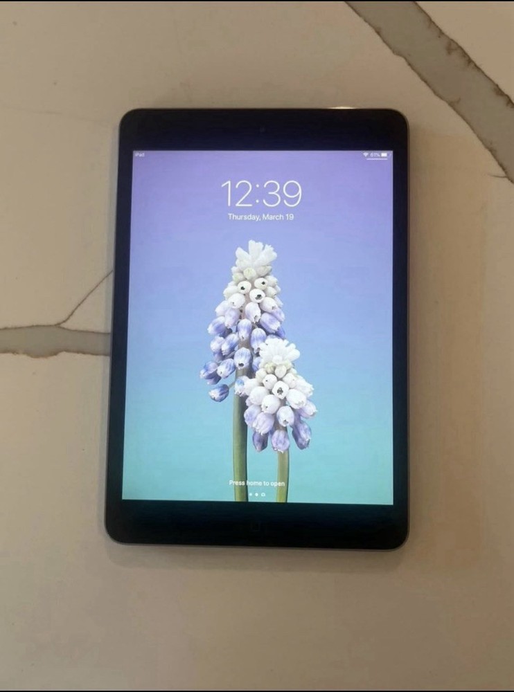 Apple iPad mini 2's 32GB Bundle of TWO