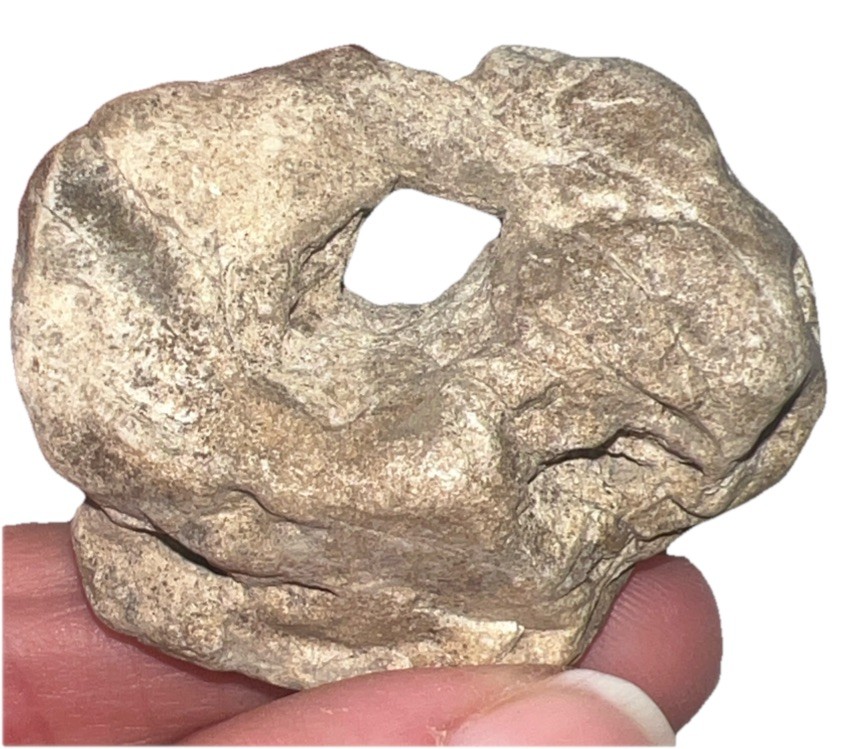 Natural hag stone 1.15oz.