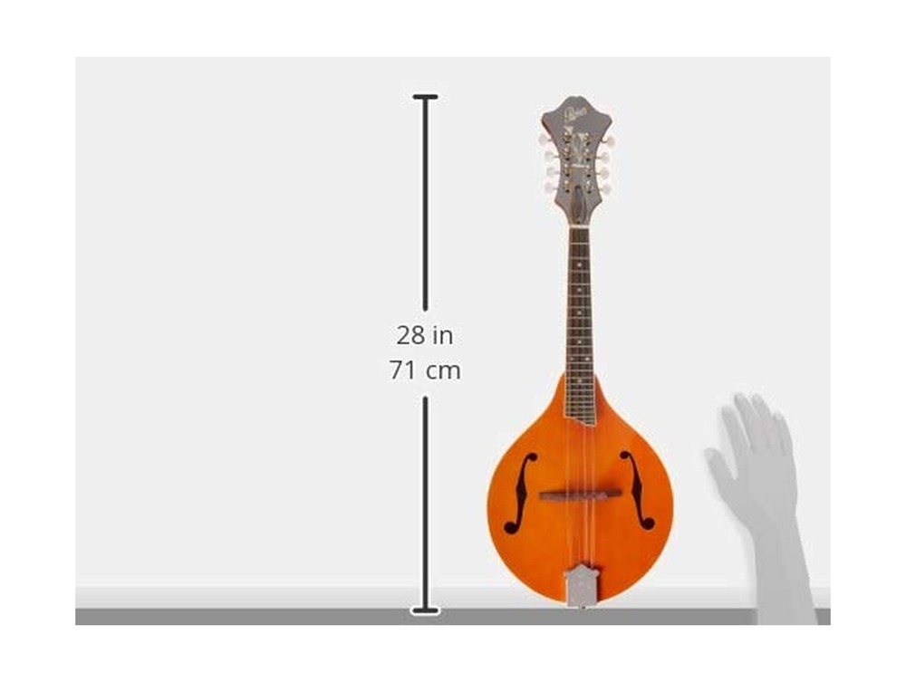 Rover, 8-String Mandolin (RM-70)