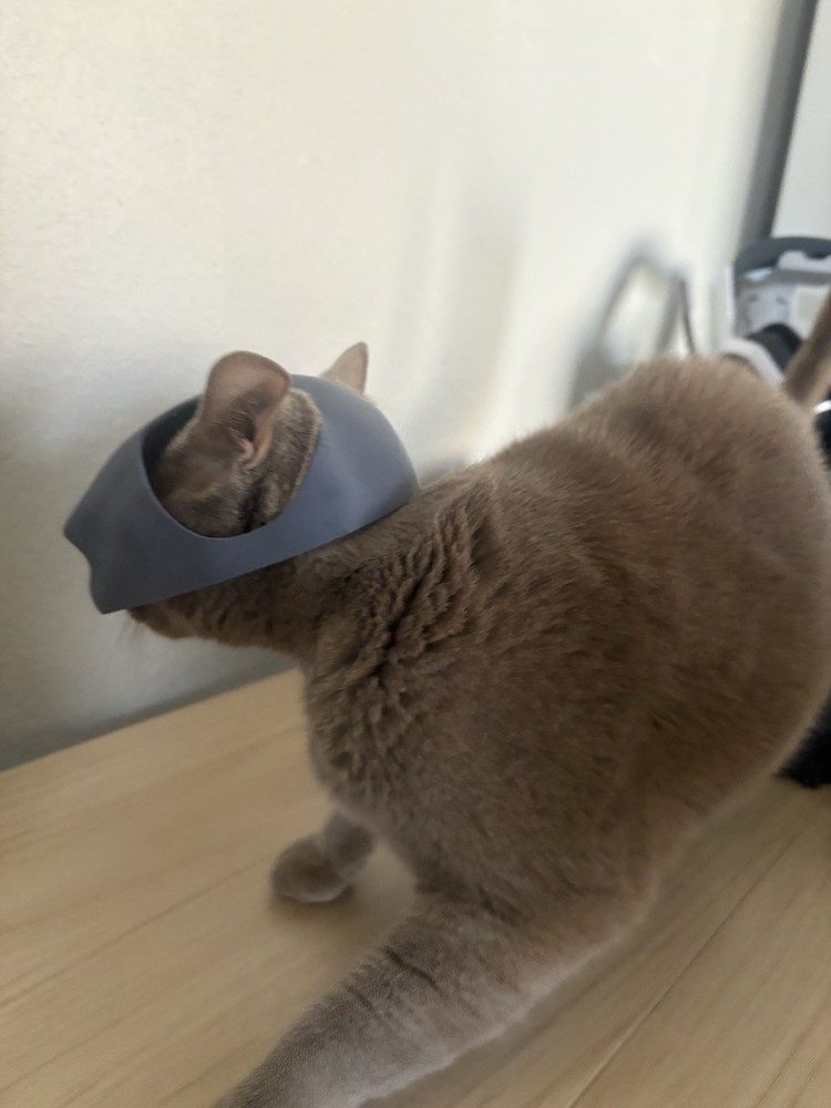 Batman Mask for Cats- Black