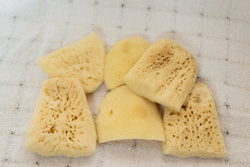 Bleached Elephant Ear Sponges 4"-4 1/2"
