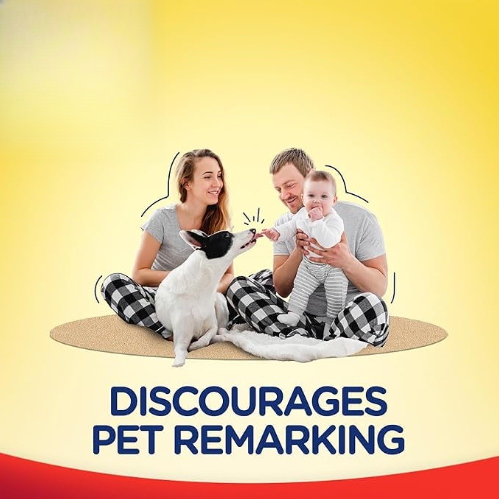 Urine Destroyer 2x Carpet Stain Cleaner Solution