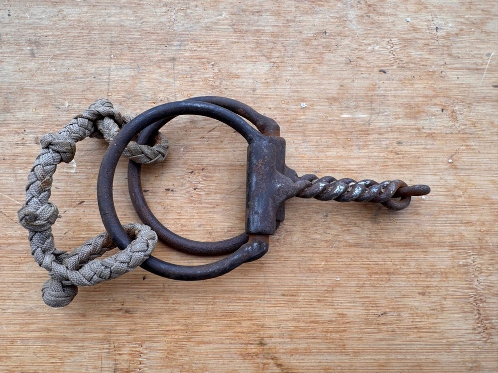 Sweet Iron Twisted Western Dee Ring Snaffle Bit ~ 5" ~ Dutton ?