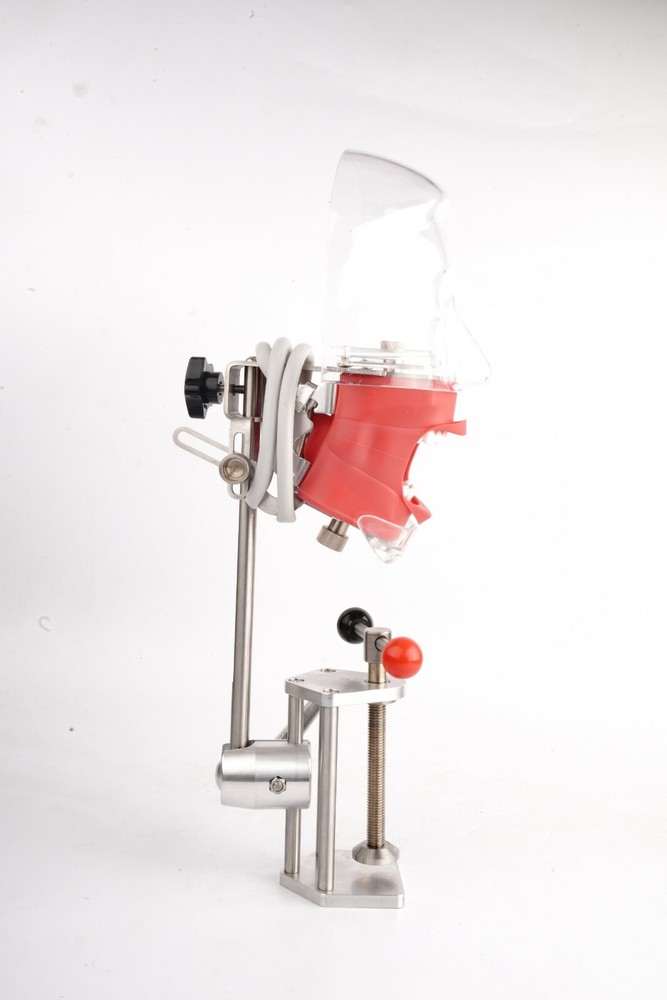 Dental Simulator Manikin Phantom Head Model Teeth Model for Training Practice