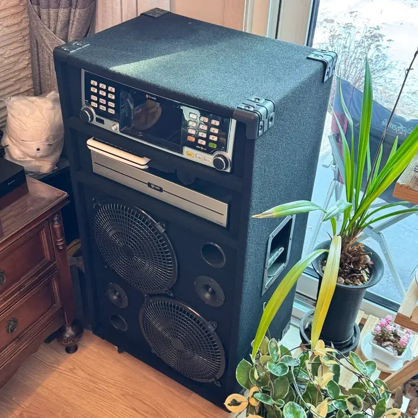 Wireless Karaoke Microphone Set with JBL Microphones & Mirror Light