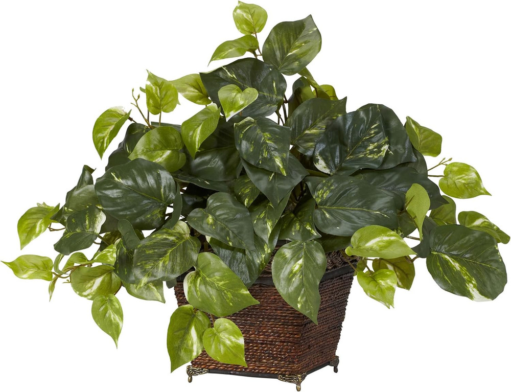 Pothos with Coiled Rope Planter Silk Plant