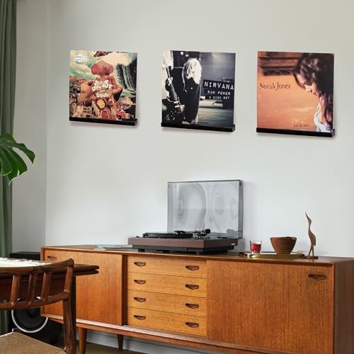 Vinyl Record Wall Mount, Solid Oak Floating Record Shelf for Albums, Black