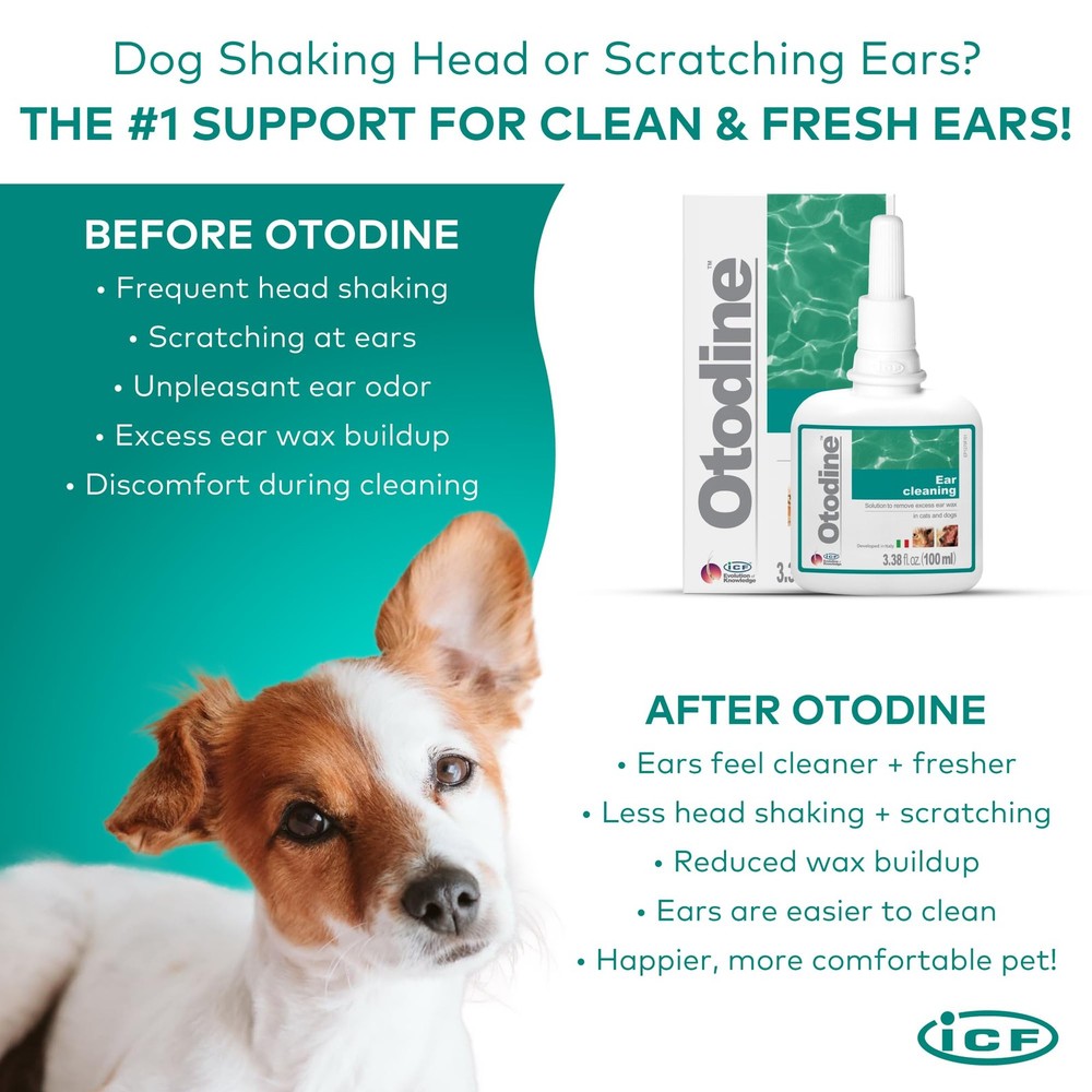 ICF Otodine Dog Ear Cleaner Solution - Veterinary Formula for Itchy Ears