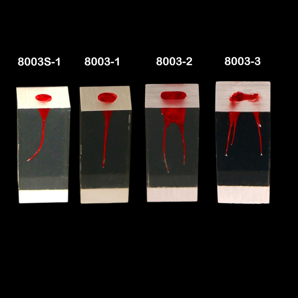 10Pcs Dental Root Canal Study Teeth Model for Endodontic Rotary Files Practice