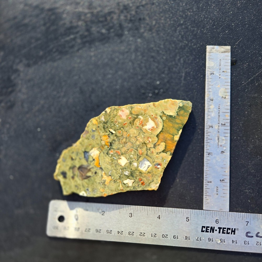 Rainforest Jasper slab