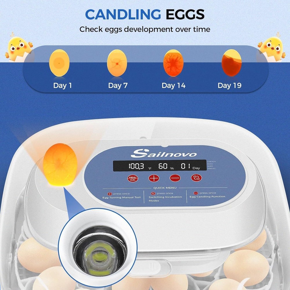 24 Eggs Incubators w/Automatic Egg Turning, Egg Candling &Humidity Display NEW!