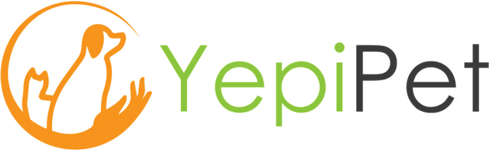 Pet Identification Tag