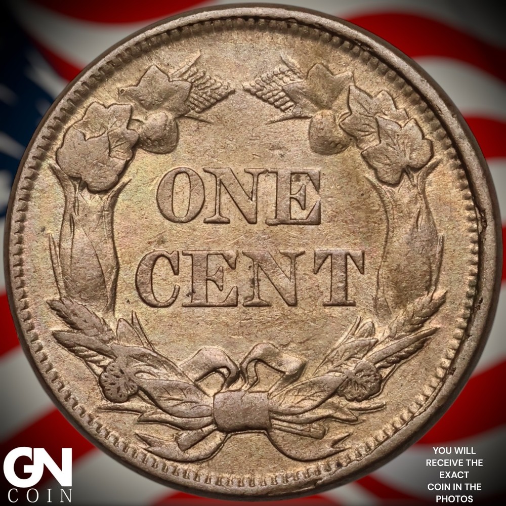1858 SMALL LETTERS Flying Eagle Cent Penny A8250