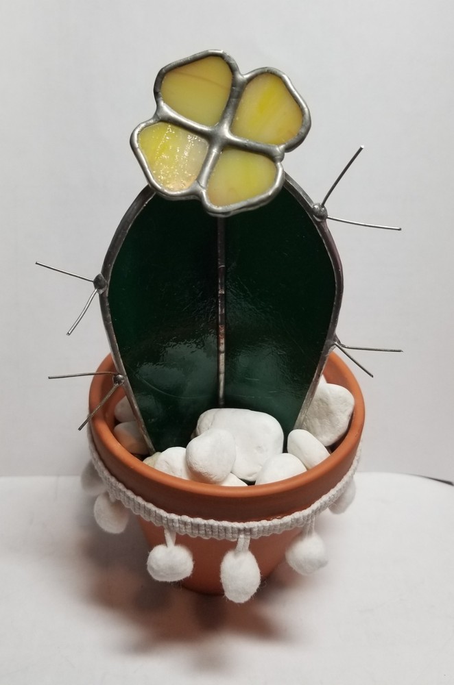 Stained Glass Yellow Flowering Cactus