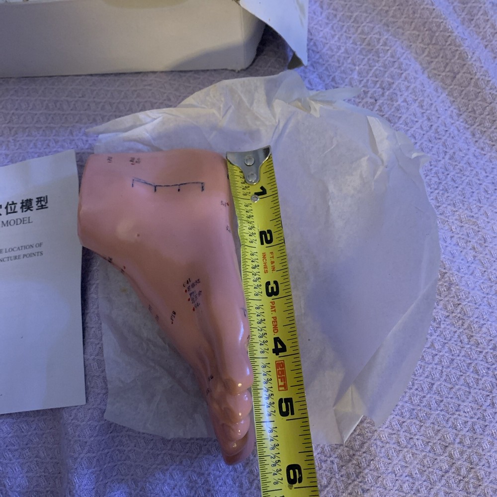 Human Acupuncture Foot Teaching Learning Model Tool 13 Cm English Version