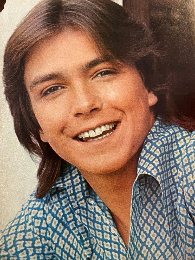 David Cassidy, Full Page Vintage Pinup, aa
