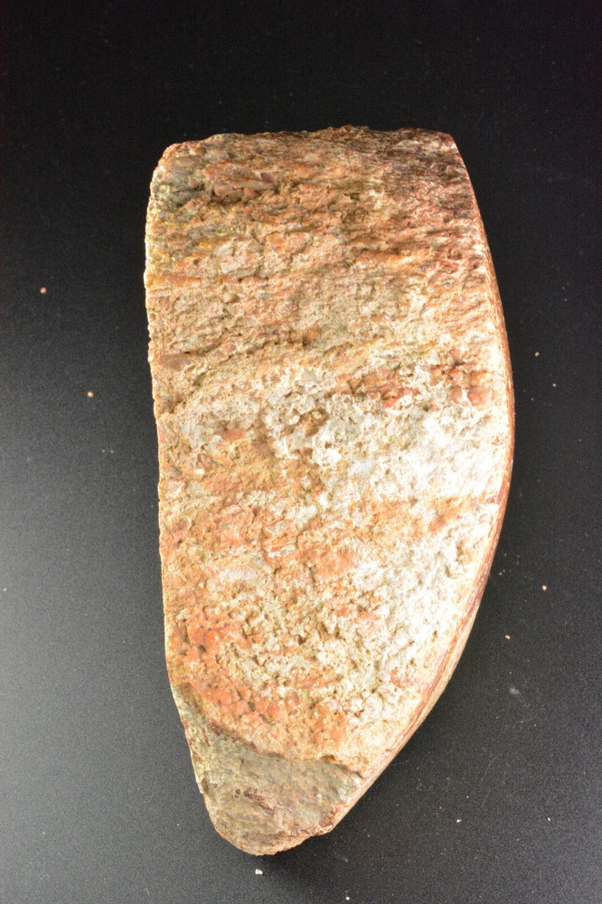 Agatized Dinosaur Bone, Utah, Polished, 4.5x2.7x2" 575 grams