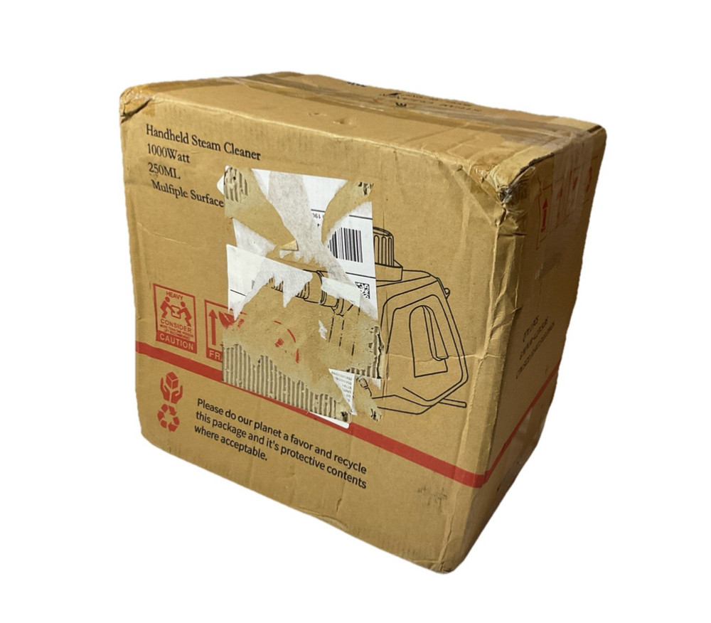 Handheld Pressurized Steam Cleaner (White)
