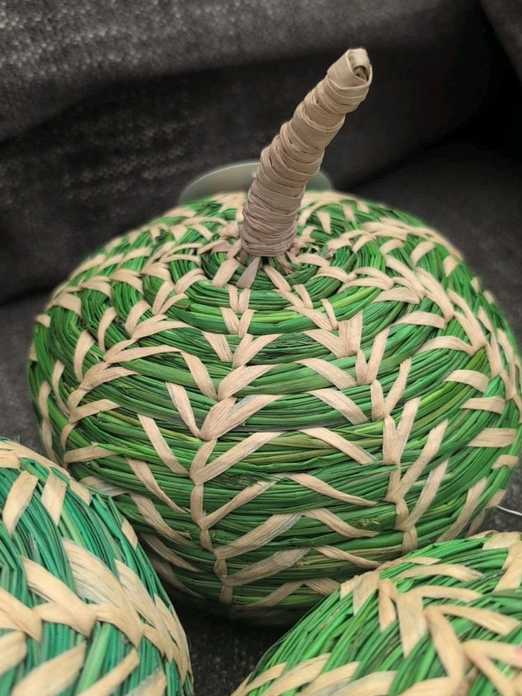 Medium Patterned Woven 3 Pumpkin Green - Threshold TARGET NWT