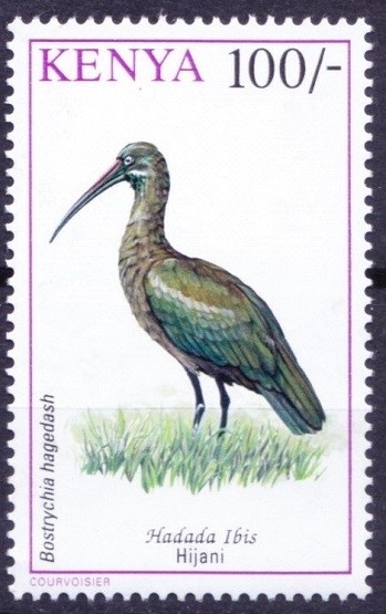 Hadada Ibis, Water Birds, Kenya 1993 MNH