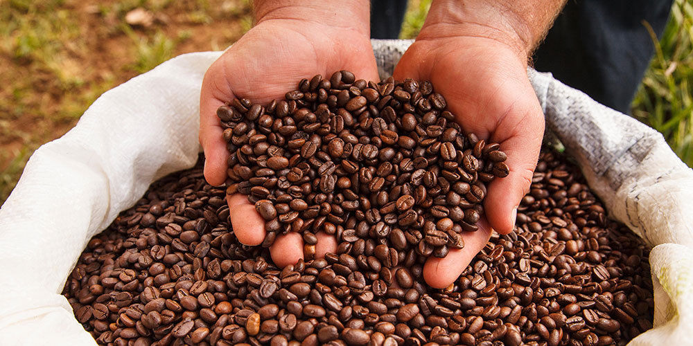 2 lb 5 lb 10 lb PERU PERUVIAN FRESH ROASTED DECAFFEINATED COFFEE BEANS - DECAF