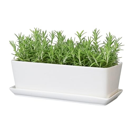 Rectangular Planter - 10 Inch Ceramic Pots for Plants with Drainage Hole and