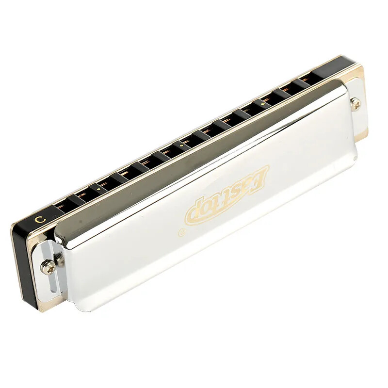 LUCKY 13 PowerChromatic Harmonica Instrument 13 Hole C Key Beginner