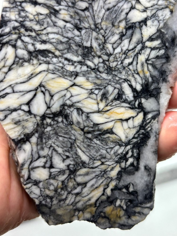 Rare Pinolith Slab Austria Cabbing Lapidary Combo Ship Avail