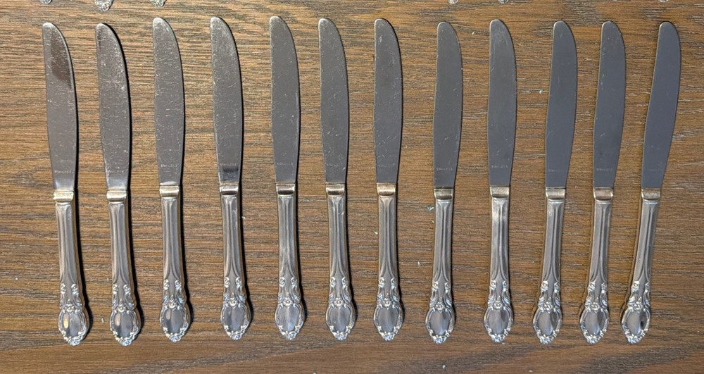 Rogers Oneida Park Lane Chatelaine 69 Piece Silverplate Flatware Service For 11+