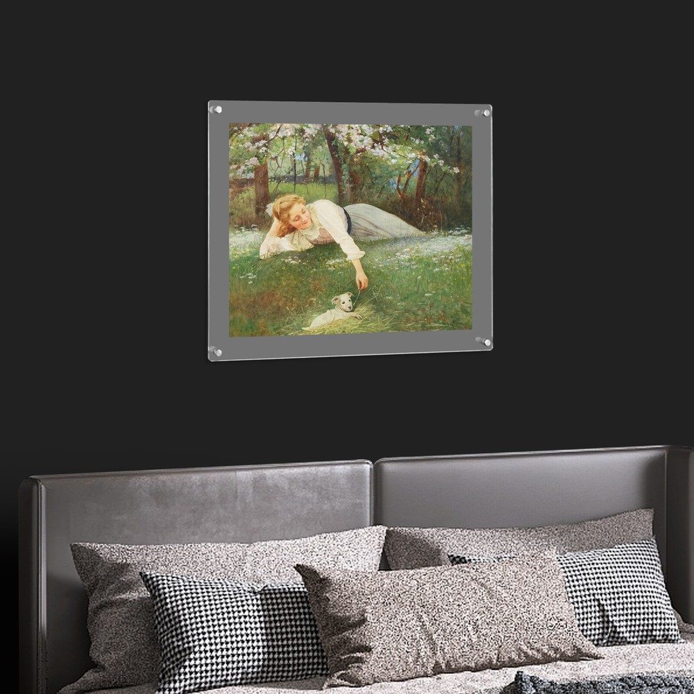 16" x 20" Clear Acrylic Picture Frame Wall Mount Floating Frameless Double Panel