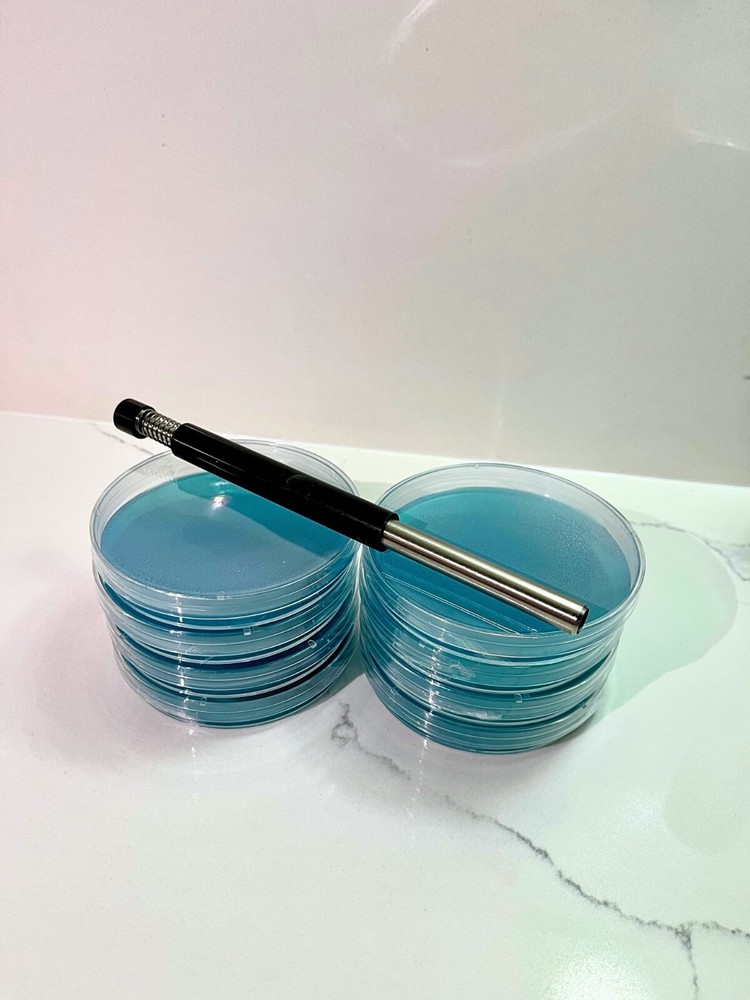 Agar Punch for Transferring Perfect Samples