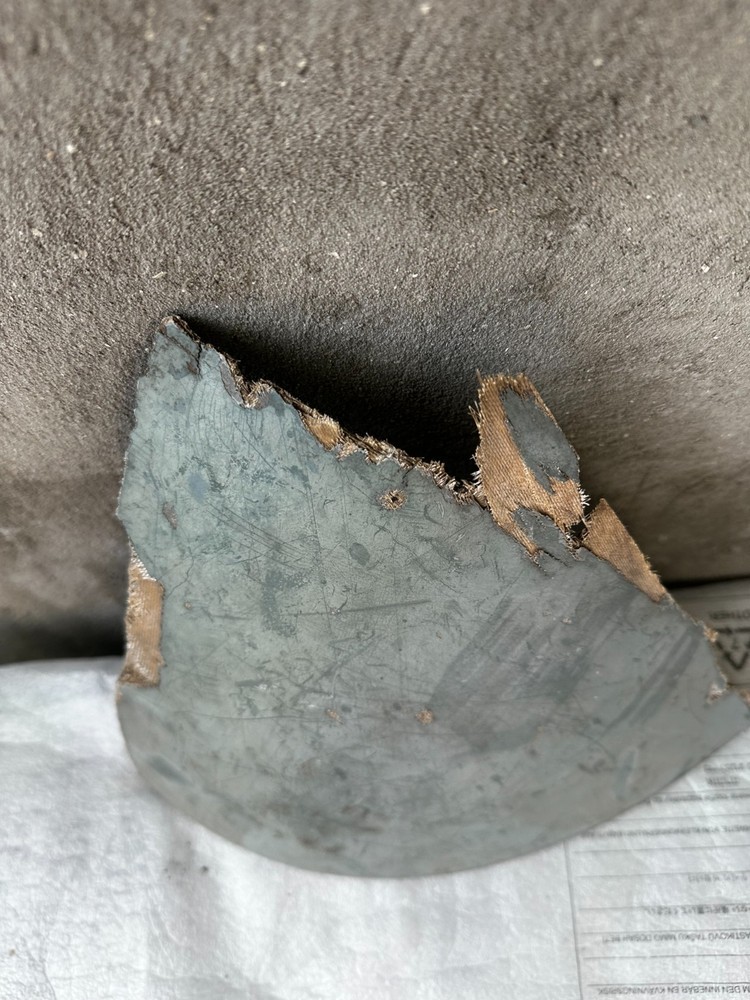 Nose section ALLIGATOR