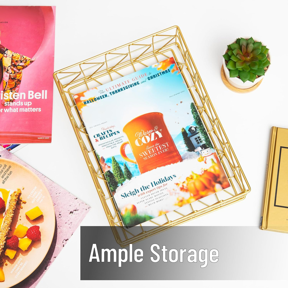 Document Organizer, Desktop Organizer, File Storage, Modern, Office, Metal, 9.5"