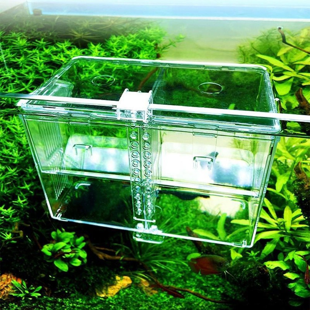 Aquarium Breeder Box Transparent Hatching Container Double-Chamber