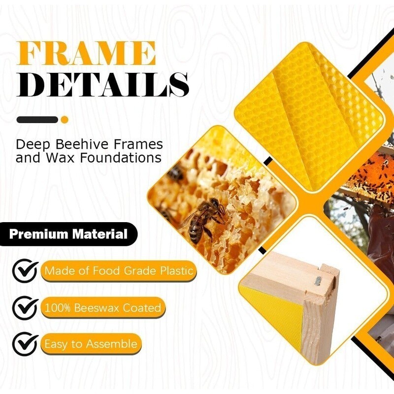 10 Pack Beehive Frames Wax Foundations Deep Brood Wooden Frames Easy Assembly US
