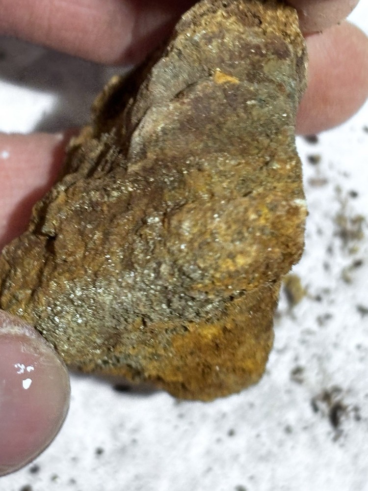 arizona silver gold ore specimen