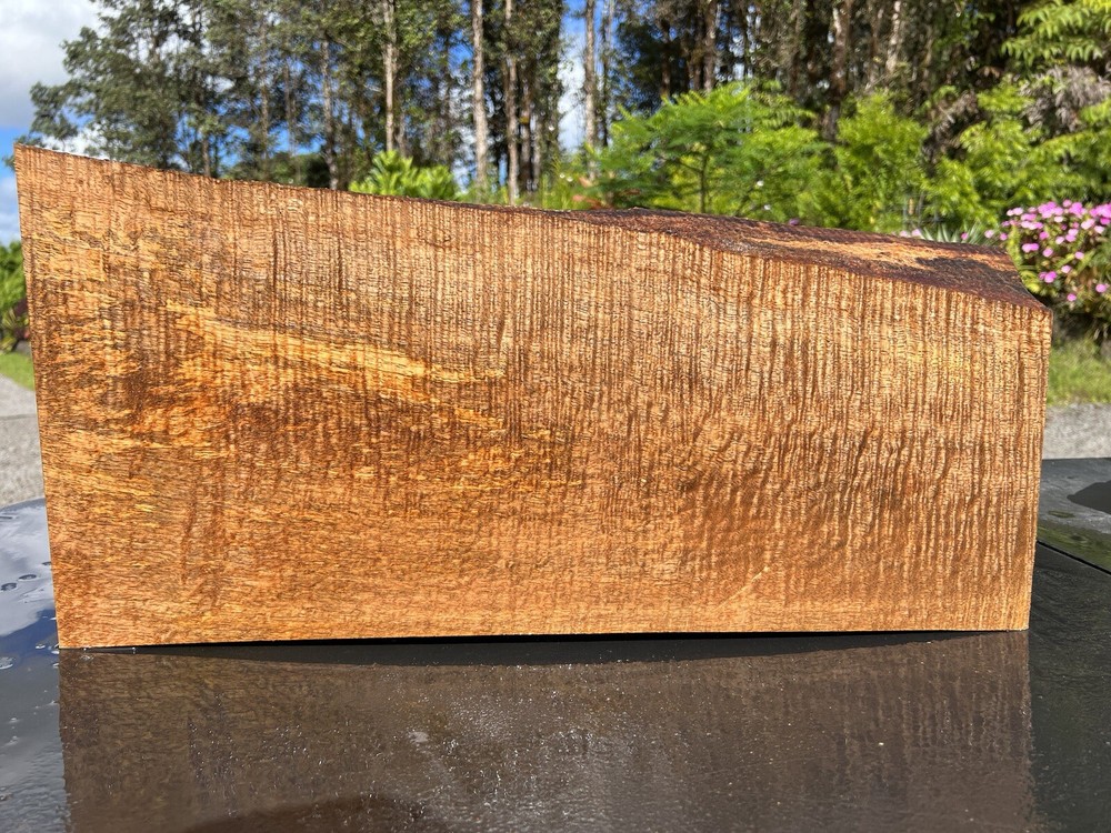 Hawaiian Curly Mango Board #10437