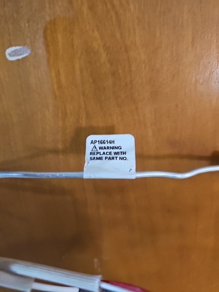 Rheem Pilot Assembly AP16614