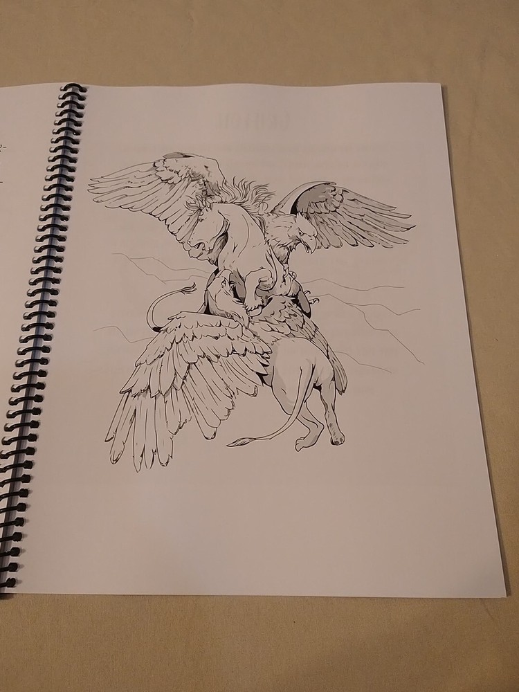 Dungeons and Dragons Coloring Book