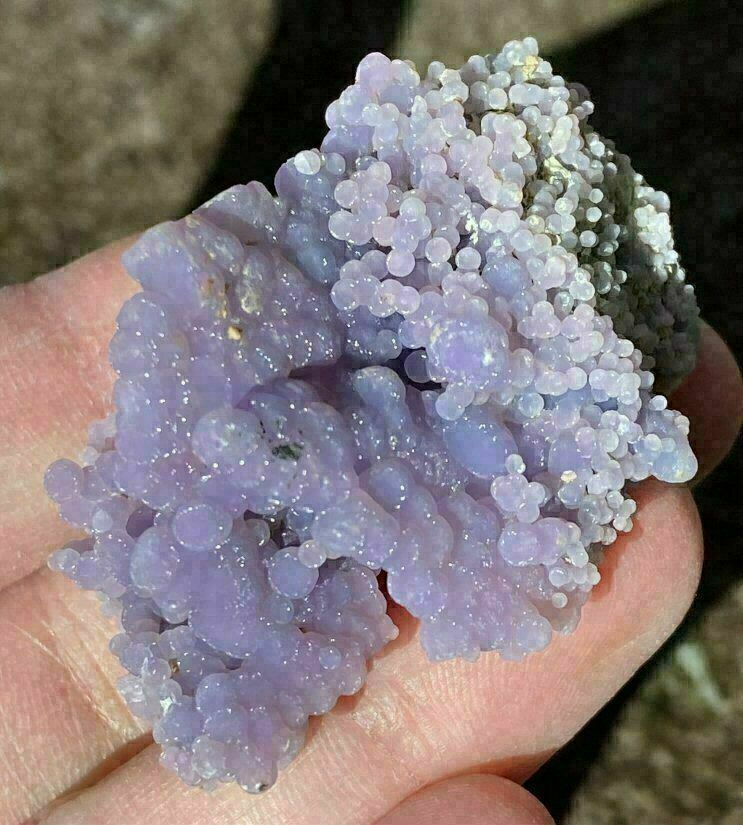 ~Weird~ Botryoidal Grape Chalcedony Specimen - AKA Mankarra Agate - C9