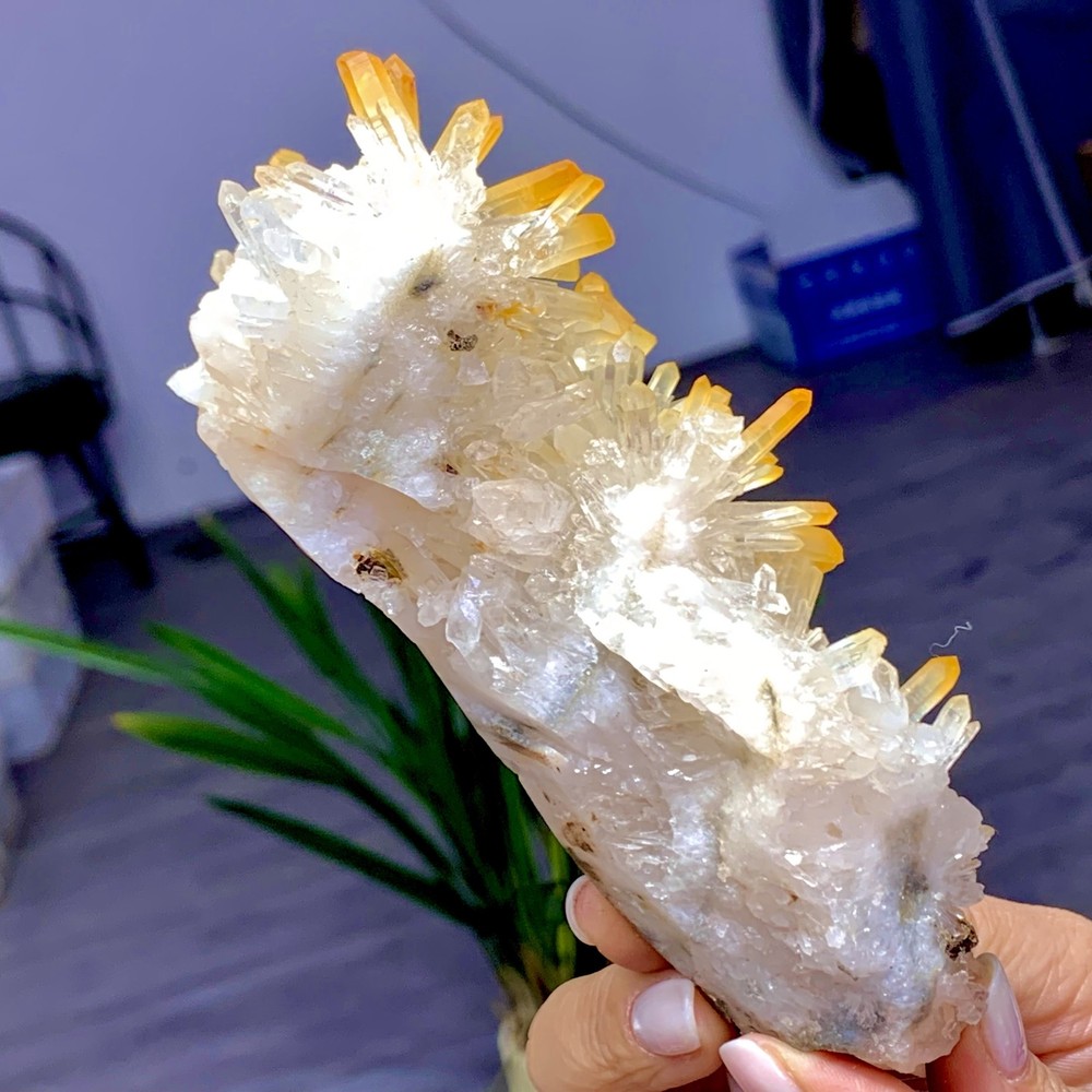 324G Natural Mango Crystal Cluster Quartz Crystal specimen/Myanmar