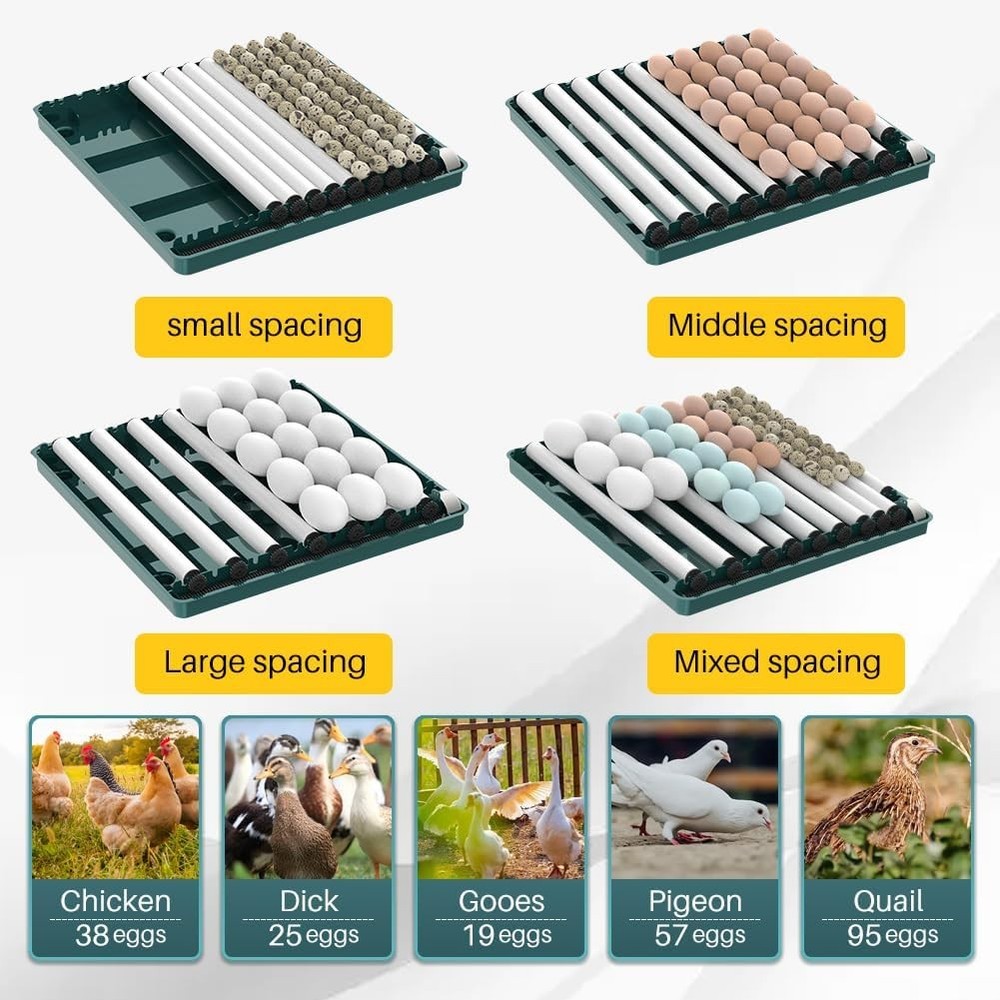 38 Egg Digital Poultry Hatcher Machine Automatic Egg Incubator