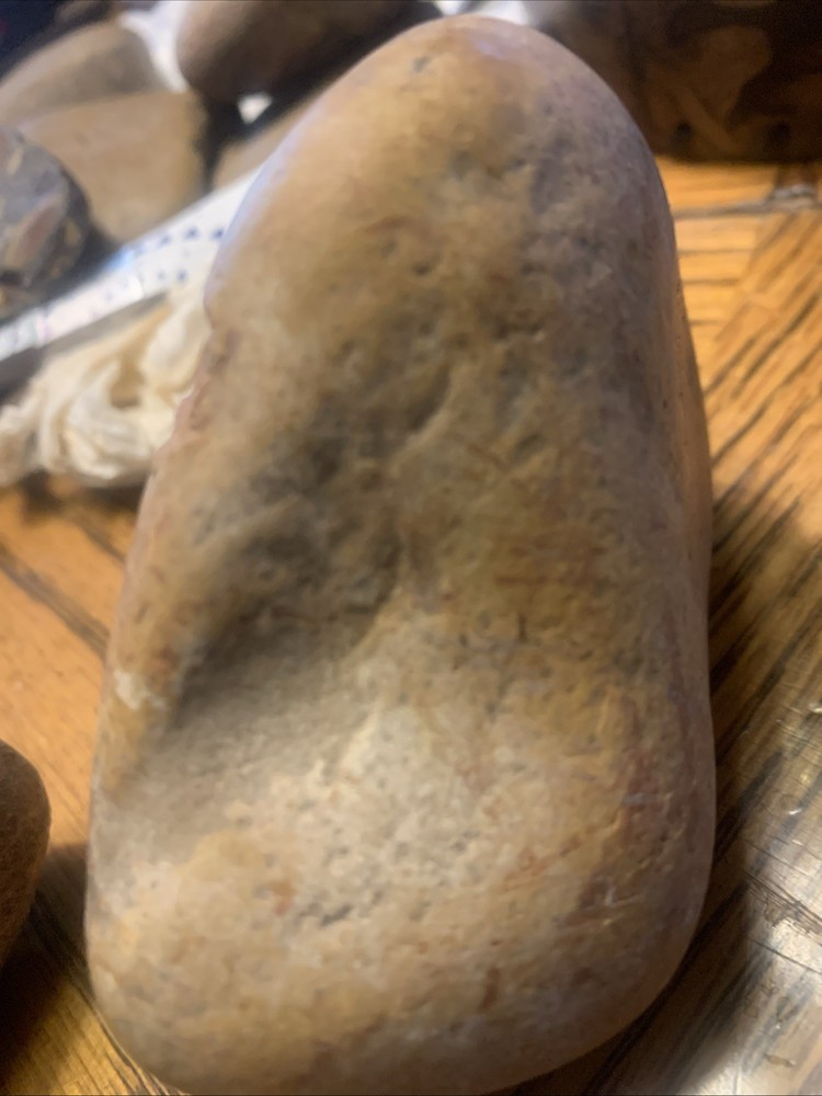 Fossils