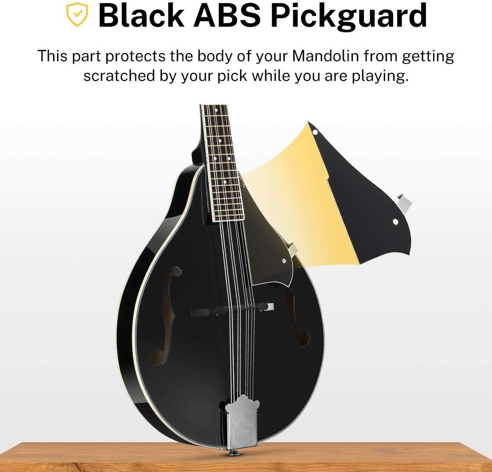 8 String Mandolin - Black - Maple Neck & Rosewood Fingerboard!