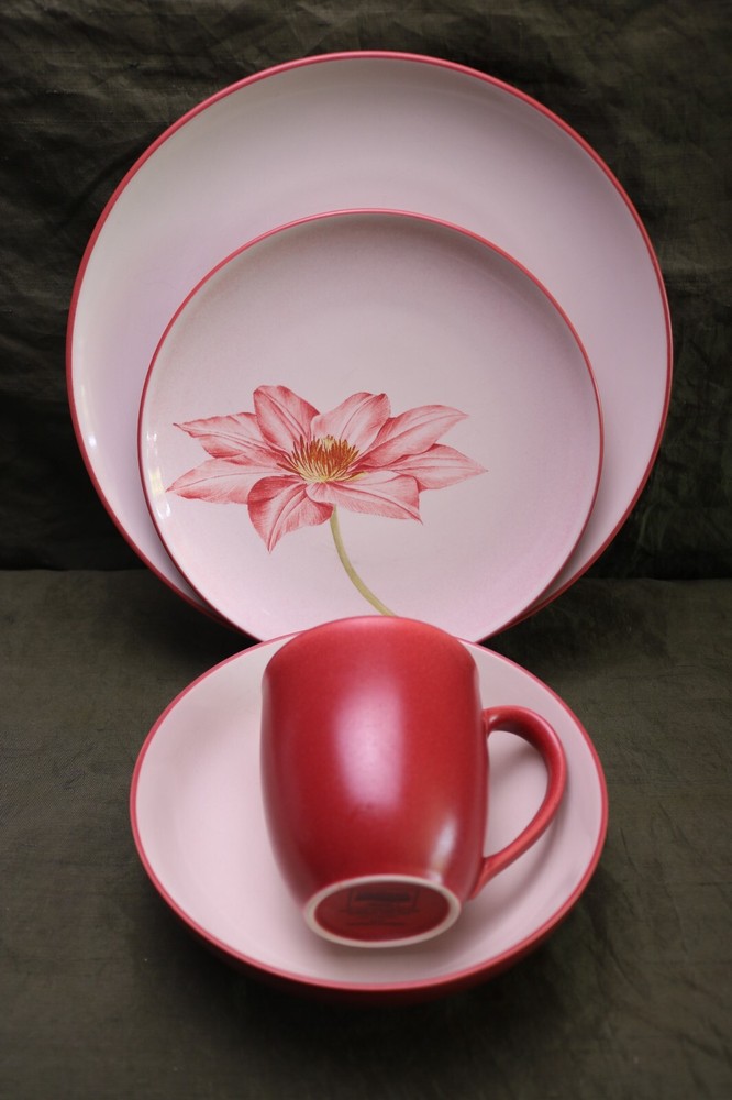 Noritake Colorwave Raspberry Red 4 pc Dinner Clematis Salad Plates Dinner Mugs